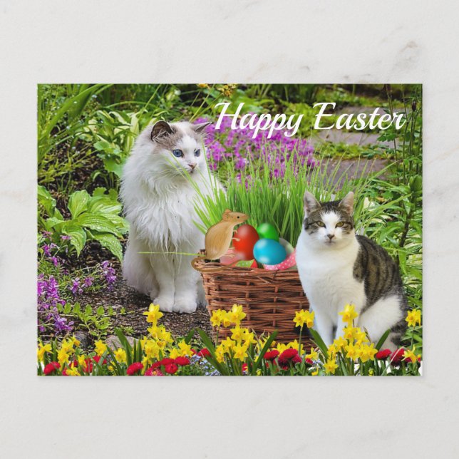Frohe Ostern von Ihrem Katzen Urlaub Postkarte (Vorderseite)