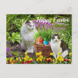 Frohe Ostern von Ihrem Katzenurlaub Postkarte