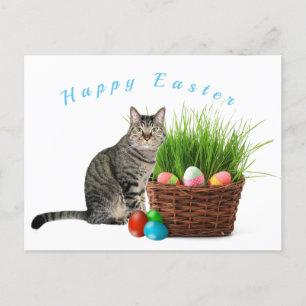 Frohe Ostern von Ihrer Cat Postkarte