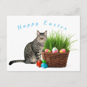 Frohe Ostern von Ihrer Katze Postkarte