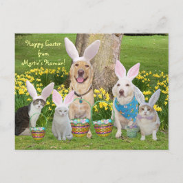 Frohe Ostern von Myrtys Mensch! Feiertagspostkarte