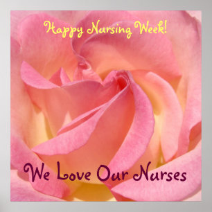 Frohe Pflegeschwester-Woche! Poster Pinke Rose Blu