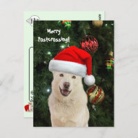 Frohe Postüberquerung von Crystal der Husky Hund