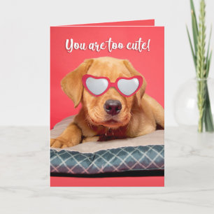 Frohe Valentinstag Lustiger Labrador-Welpe Humor Feiertagskarte