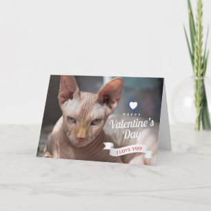 Frohe Valentinstag   Sphynx haarlose Katze Karte