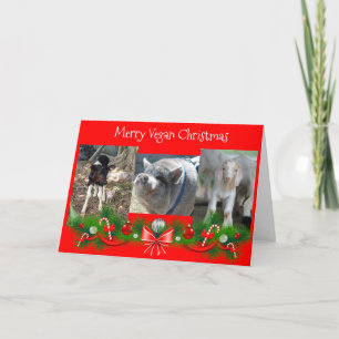 Frohe Vegane Weihnachtskarte Feiertagskarte