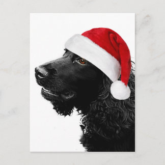 Frohe Weihnacht-Cockerspaniel Feiertagspostkarte