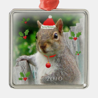 Frohe Weihnacht-Eichhörnchen 2010 Ornament Aus Metall