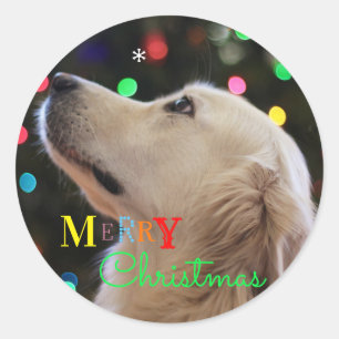 "Frohe Weihnacht-" Hund, der entlang der Runder Aufkleber