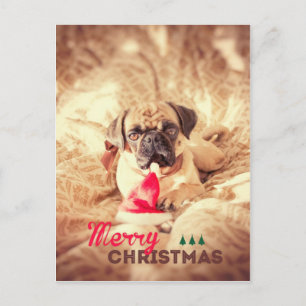 Frohe Weihnacht-Mops Feiertagspostkarte