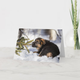 Frohe Weihnacht-Schäferhundkarte Feiertagskarte