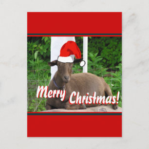FROHE WEIHNACHT-ZIEGEN-GRÜSSE FEIERTAGSPOSTKARTE