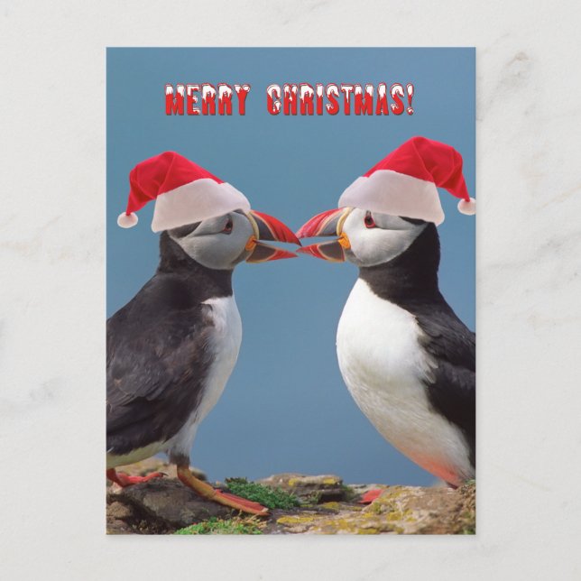 Frohe Weihnachten (Vorderseite)