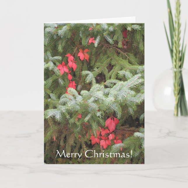 Frohe Weihnachten (Vorderseite)