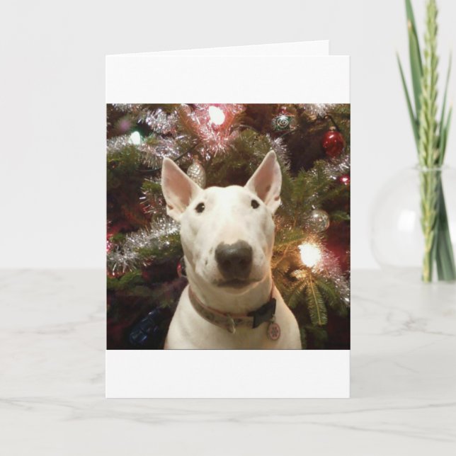 frohe Weihnachten (Vorderseite)