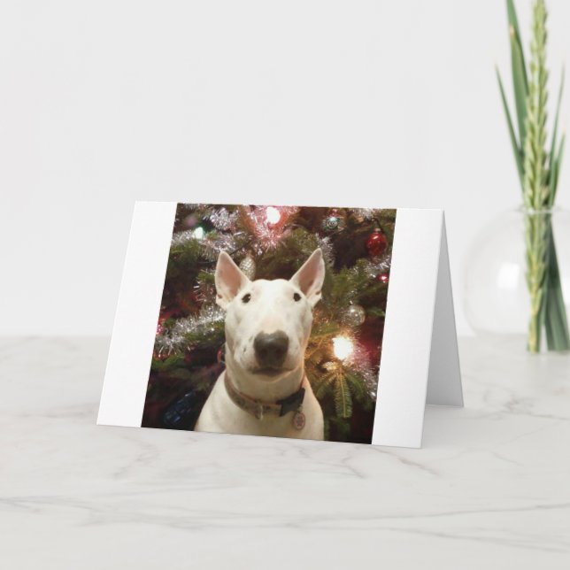 frohe Weihnachten (Vorderseite)