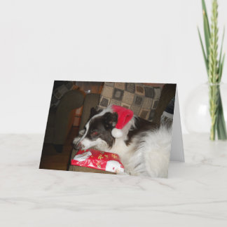 Frohe Weihnachten