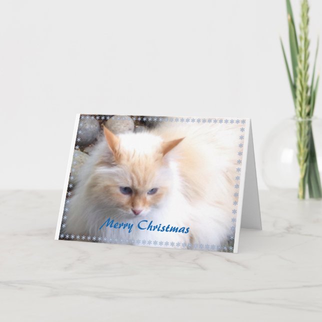 Frohe Weihnachten (Vorderseite)