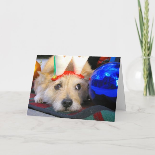 Frohe Weihnachten (Vorderseite)