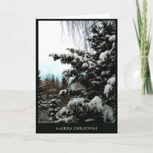 Frohe Weihnachten