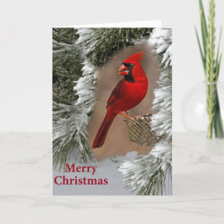 Frohe Weihnachten