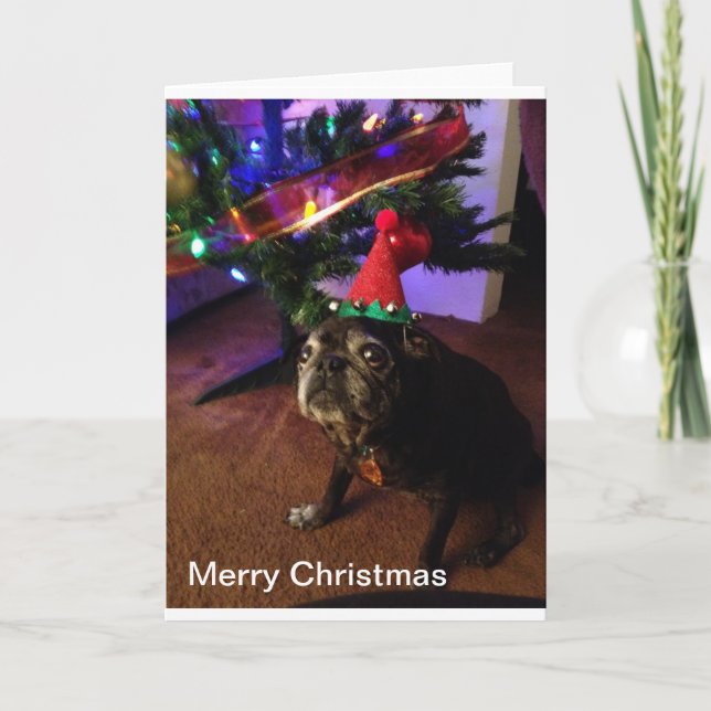 Frohe Weihnachten (Vorderseite)