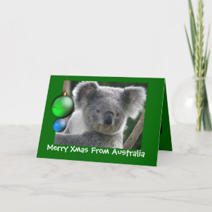 Frohe Weihnachten aus Australien Koala