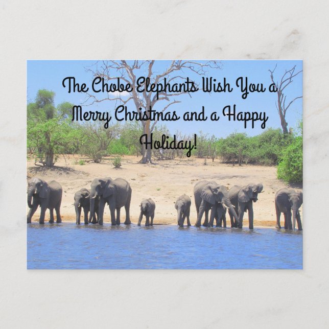 Frohe Weihnachten aus der Chobe Elephants Postkart (Vorderseite)