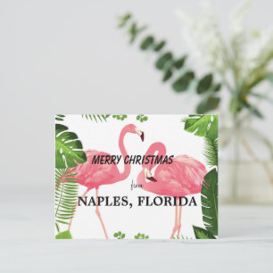 Frohe Weihnachten aus Naples, Florida Postkarte