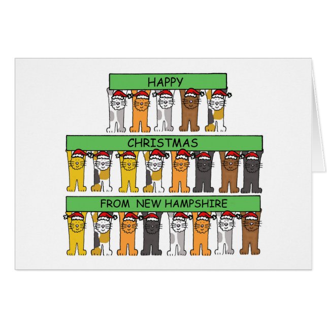 Frohe Weihnachten aus New Hampshire Niedliche Katz (Vorderseite (Horizontal))