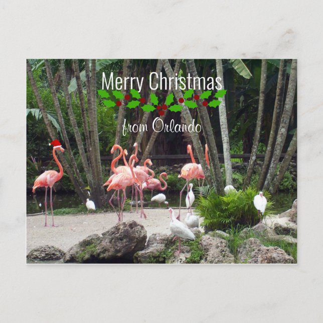 Frohe Weihnachten aus Orlando - rosa Flamingos (Vorderseite)