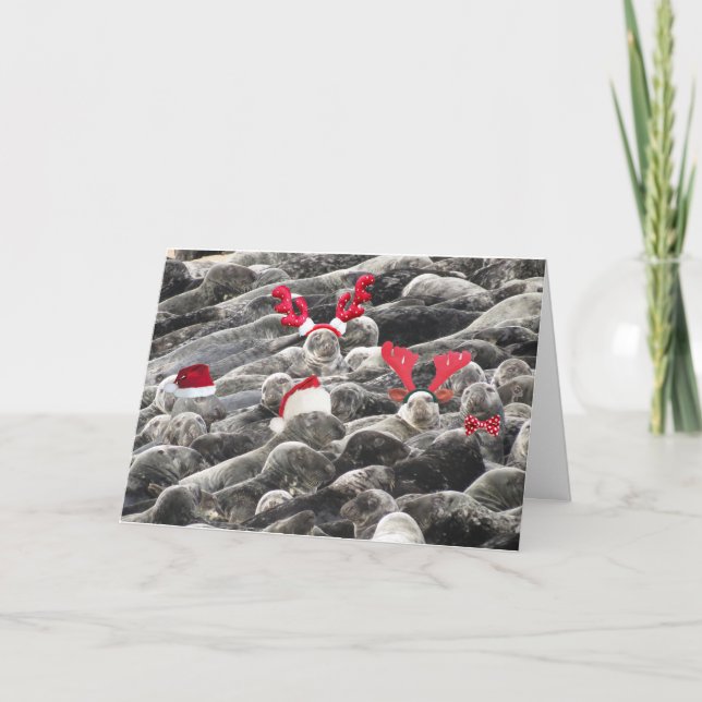 Frohe Weihnachten aus Siegeln (Vorderseite)