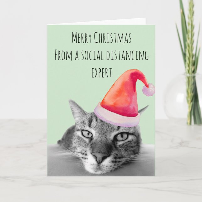 Frohe Weihnachten aus Social Distancing Expert Cat Karte (Vorderseite)