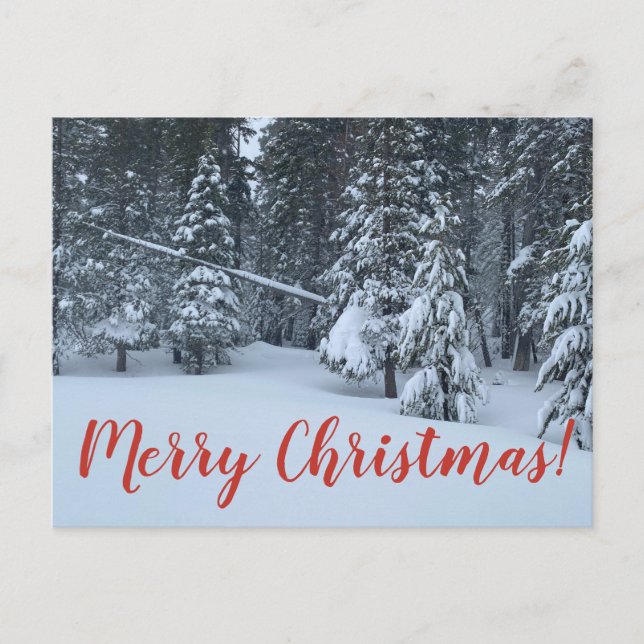 Frohe Weihnachten aus Tahoe City! Postkarte (Vorderseite)