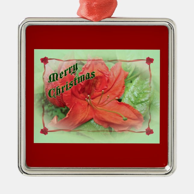 Frohe Weihnachten Azalea Silbernes Ornament (Vorne)