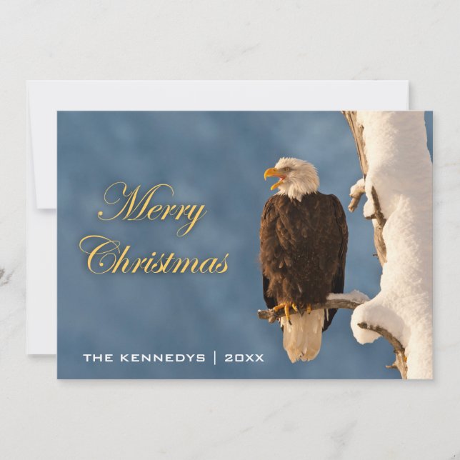 Frohe Weihnachten - Bald Eagle Perching (Vorderseite)