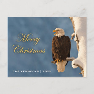 Frohe Weihnachten - Bald Eagle Perching