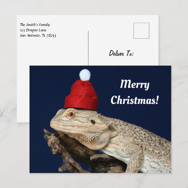 Frohe Weihnachten Bartete Drache in einer Weihnach Postkarte (Vorne/Hinten)