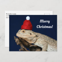 Frohe Weihnachten Bartete Drache in einer Weihnach