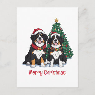 Frohe Weihnachten Berner Sennenhunde