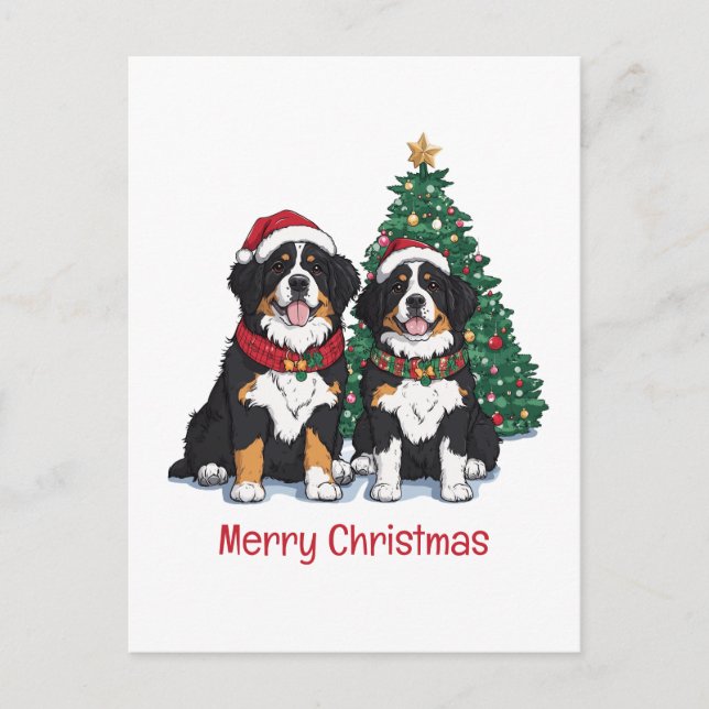Frohe Weihnachten Berner Sennenhunde (Vorderseite)