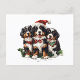 Frohe Weihnachten Bernese Mountain Hunde Postkarte