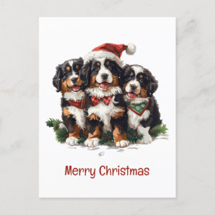 Frohe Weihnachten Bernese Mountain Hunde Postkarte