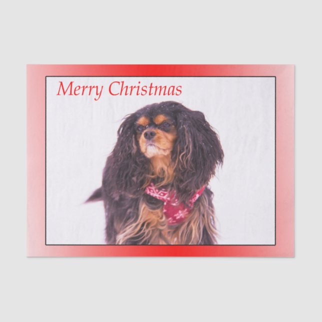 Frohe Weihnachten Black Tan Cavalier King Charles Seidenpapier (Vorderseite)