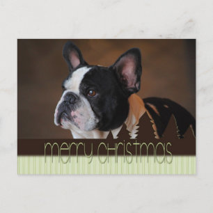Frohe Weihnachten Boston Terrier Dog Postcard