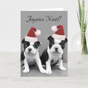 Frohe Weihnachten Boston Terriers greeting card