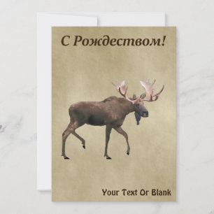 Frohe Weihnachten - Bull Moose auf altem Papier