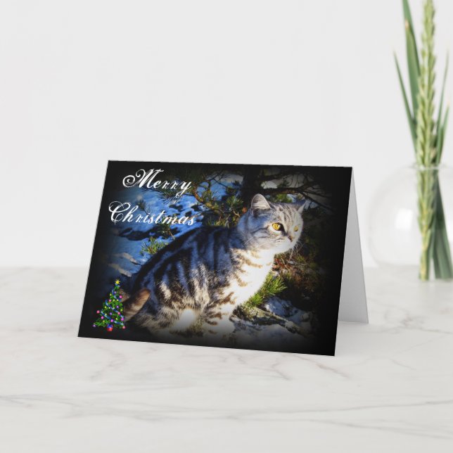 Frohe Weihnachten - Cat Grußkarte (Vorderseite)