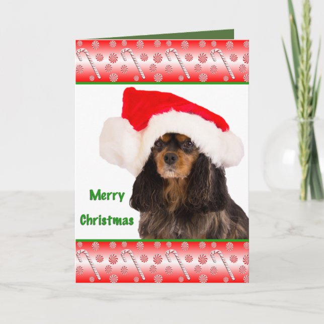 Frohe Weihnachten Cavalier King Charles Card (Vorderseite)