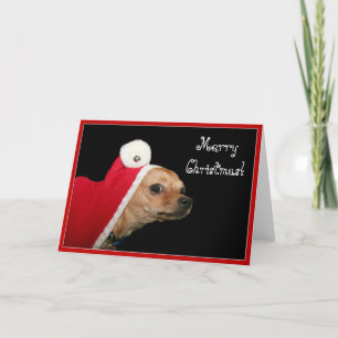 Frohe Weihnachten Chihuahua Grußkarte